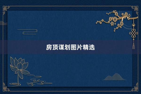 房顶谋划图片精选