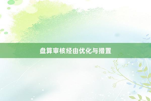 盘算审核经由优化与措置