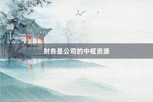 财务是公司的中枢资源